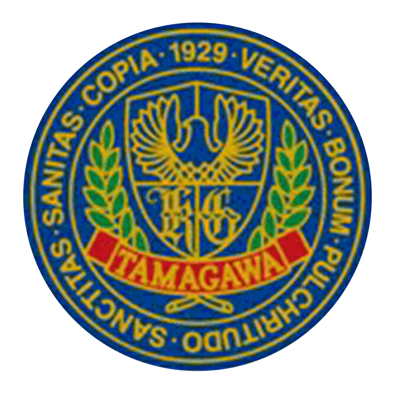 玉川大学体育会サッカー部 CCJTV 玉川大学体育会サッカー部 CCJTV